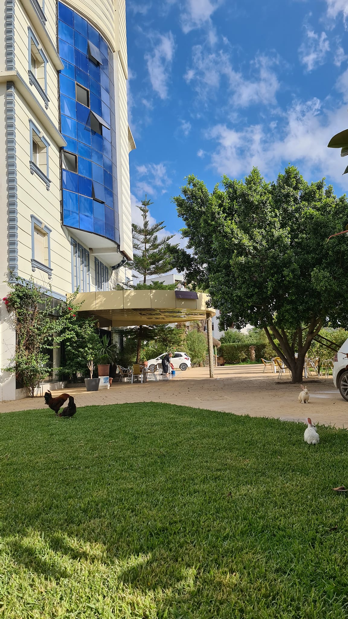 gallery-05 474020939 2145118062614274 2412599220939941768 N