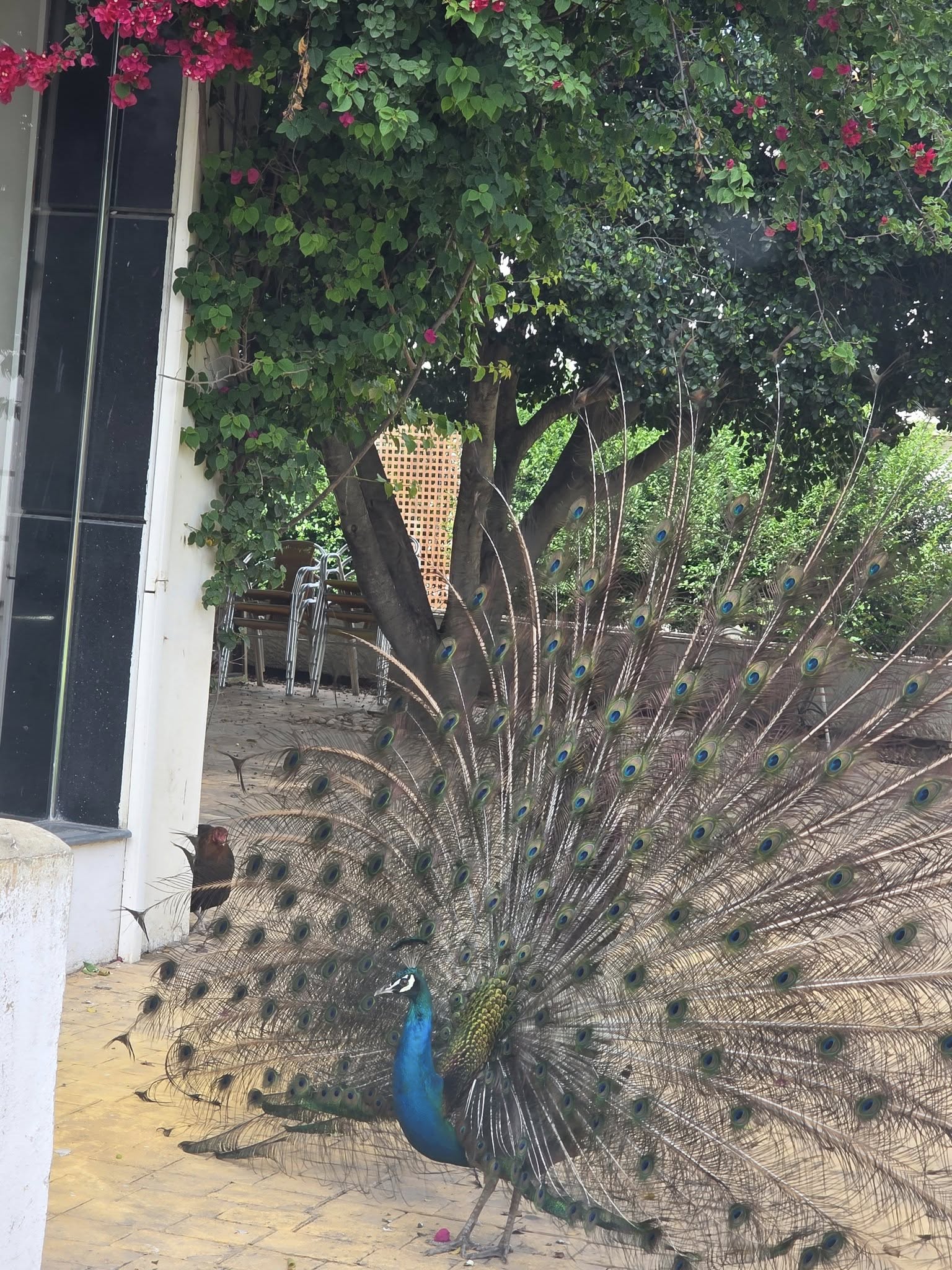 gallery-02 500230154 1114910734004378 5079017427497580550 N